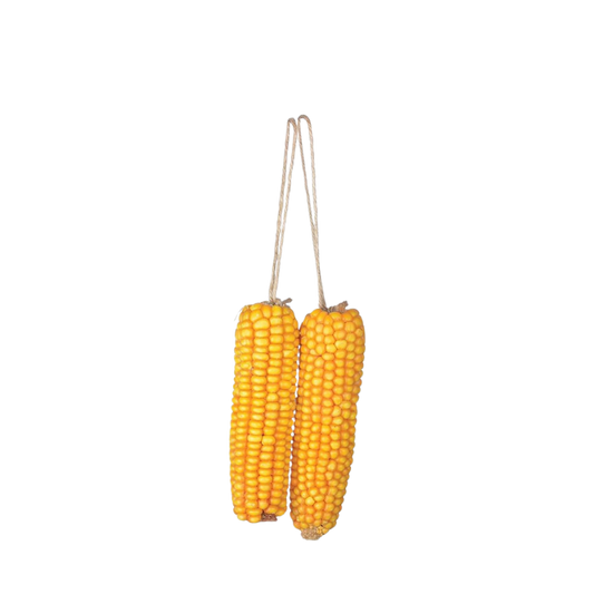 Dried Corn